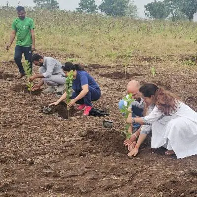 Agroforestry