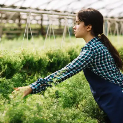 farming